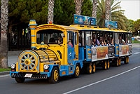 Tren Turístico Tren Turístico