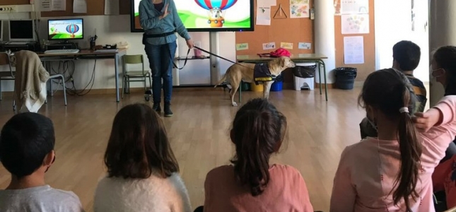 Los talleres de educación para el desarrollo con perros de terapia vuelven a las escuelas de Cambrils. Los talleres de educación para el desarrollo con perros de terapia vuelven a las escuelas de Cambrils.