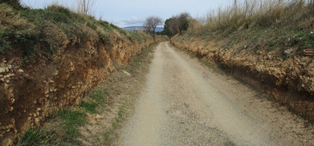 El Ayuntamiento de Cambrils inicia las obras de la última fase del Camino de Montbrió. 