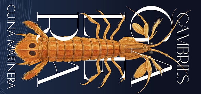 JORNADAS DE LA GALERA CAMBRILS